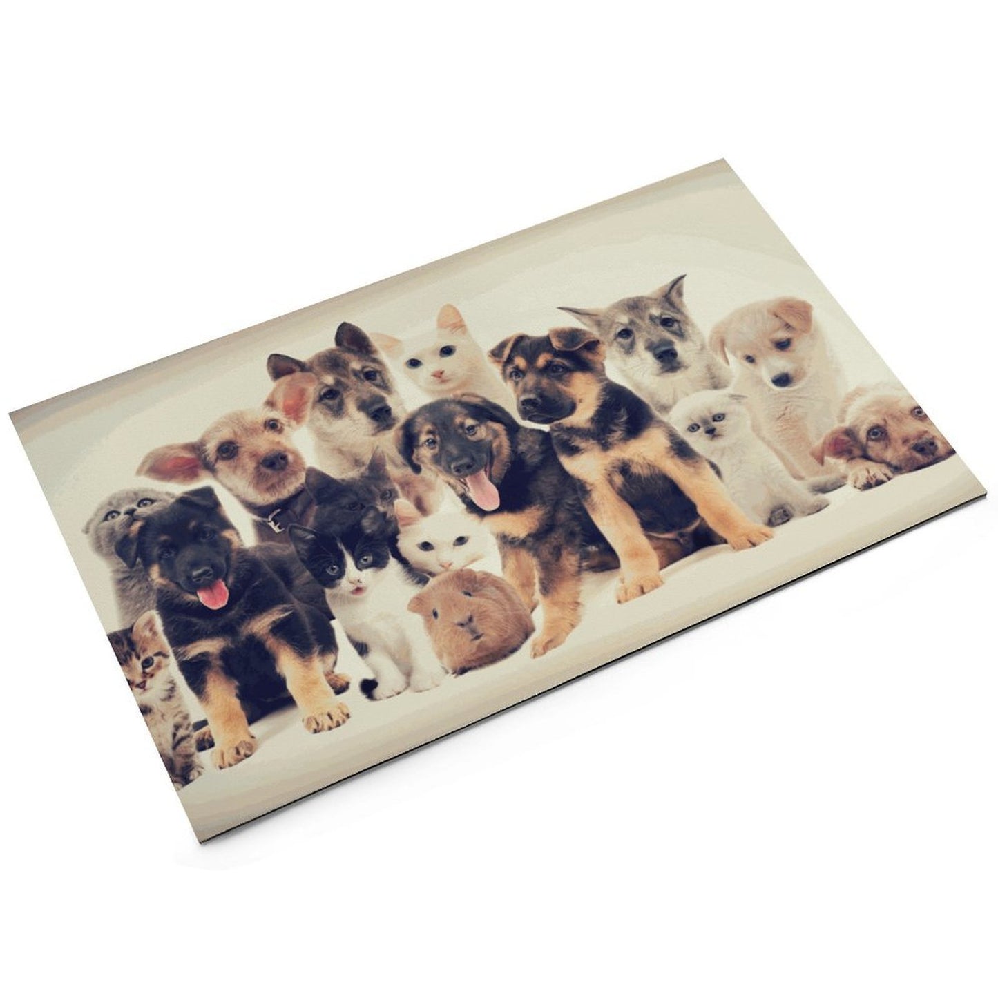 Tapete Absorbente Personalizado para Platos de Mascotas | Antideslizante y Fácil de Limpiar