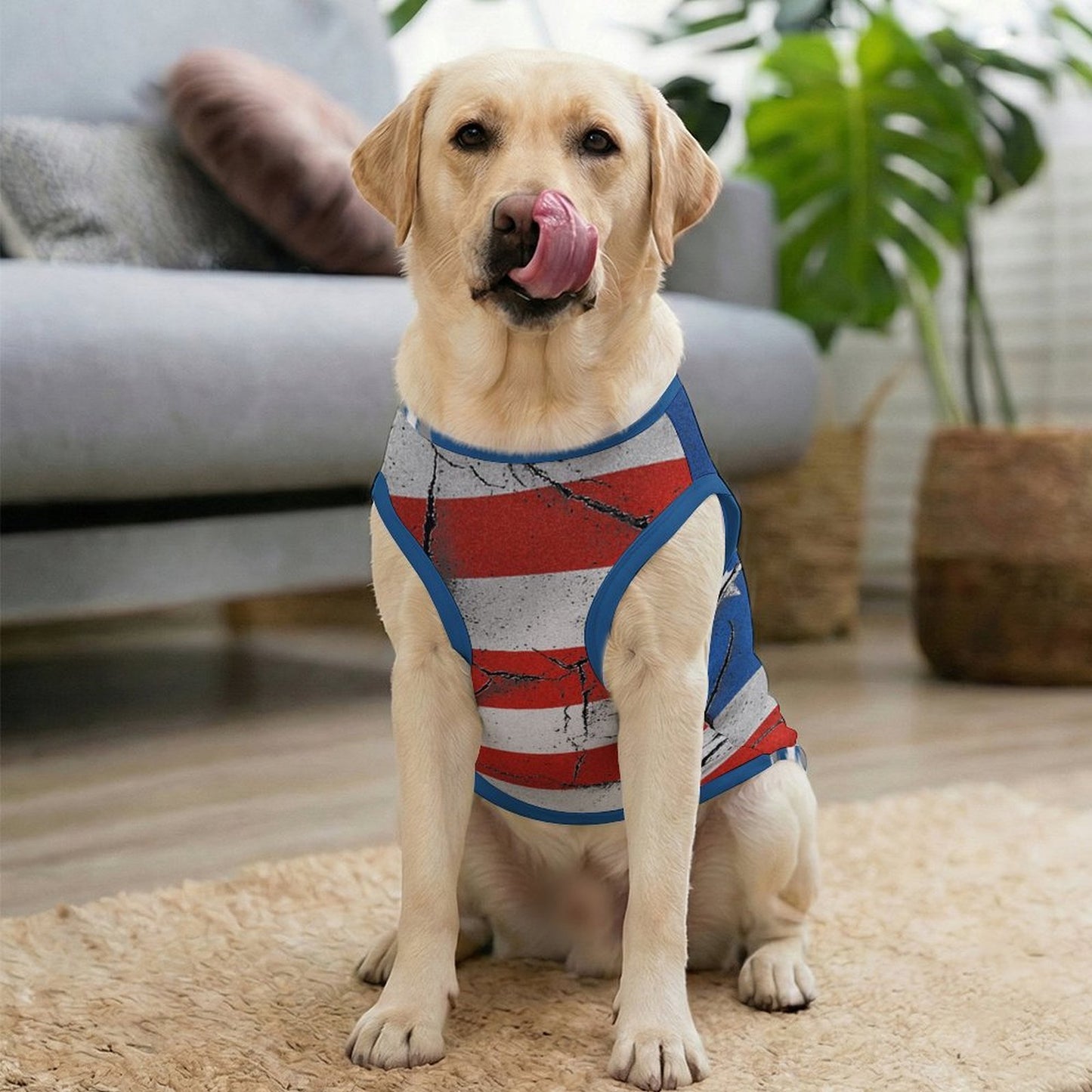 Sudadera Urbana Personalizada para Mascotas | Ropa de Calle para Perros y Gatos