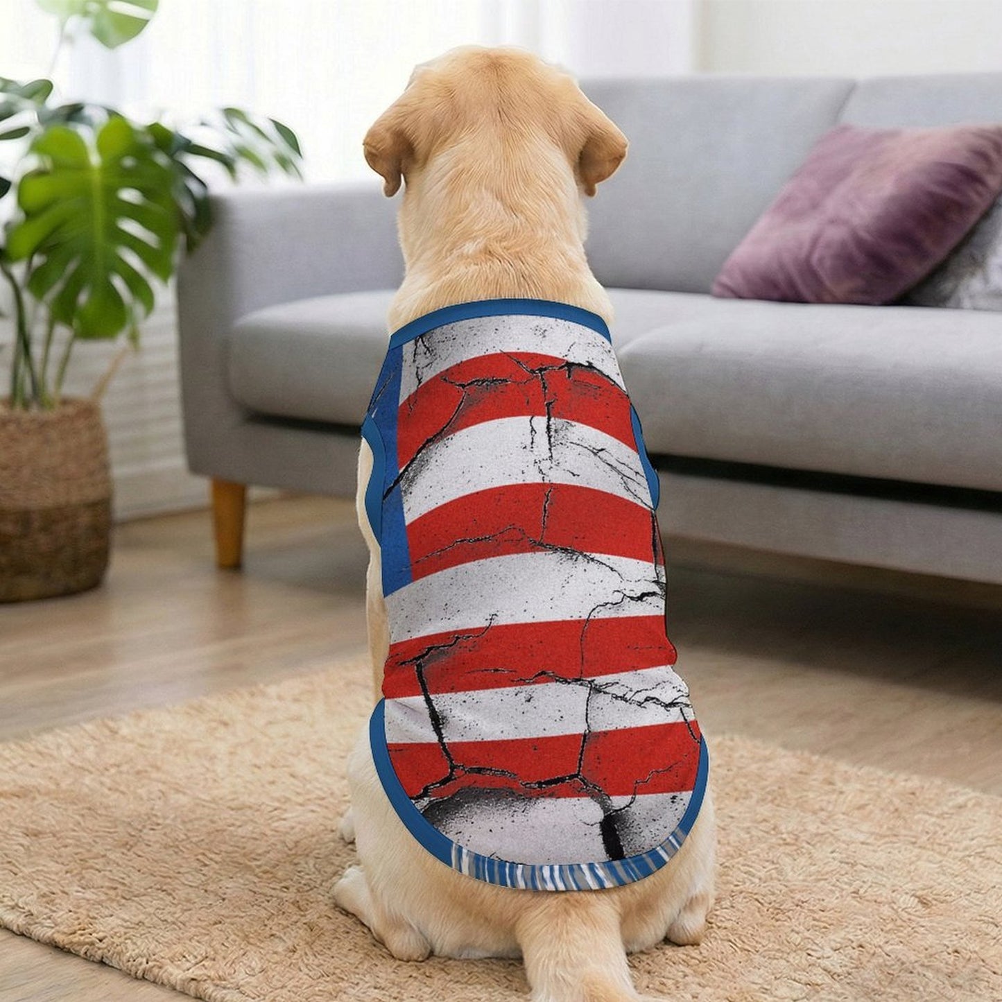 Sudadera Urbana Personalizada para Mascotas | Ropa de Calle para Perros y Gatos