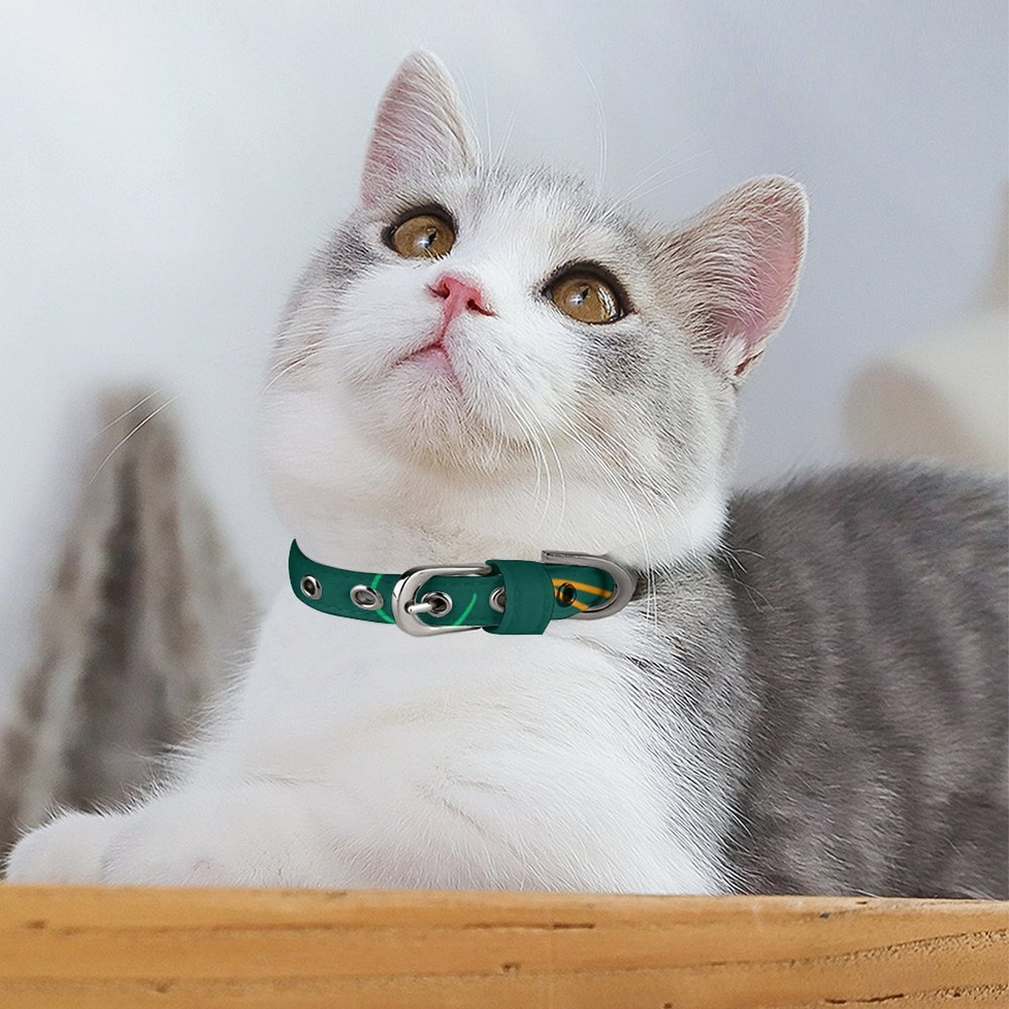 Collar Personalizado de Tela Oxford para Perros Pequeños y Cachorros