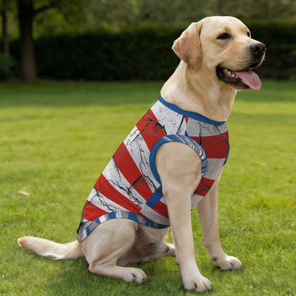 Sudadera Urbana Personalizada para Mascotas | Ropa de Calle para Perros y Gatos