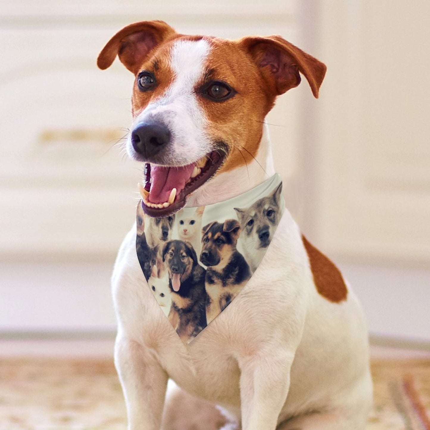 Bandana Personalizada para Mascotas | Pañoleta Triangular Ligera