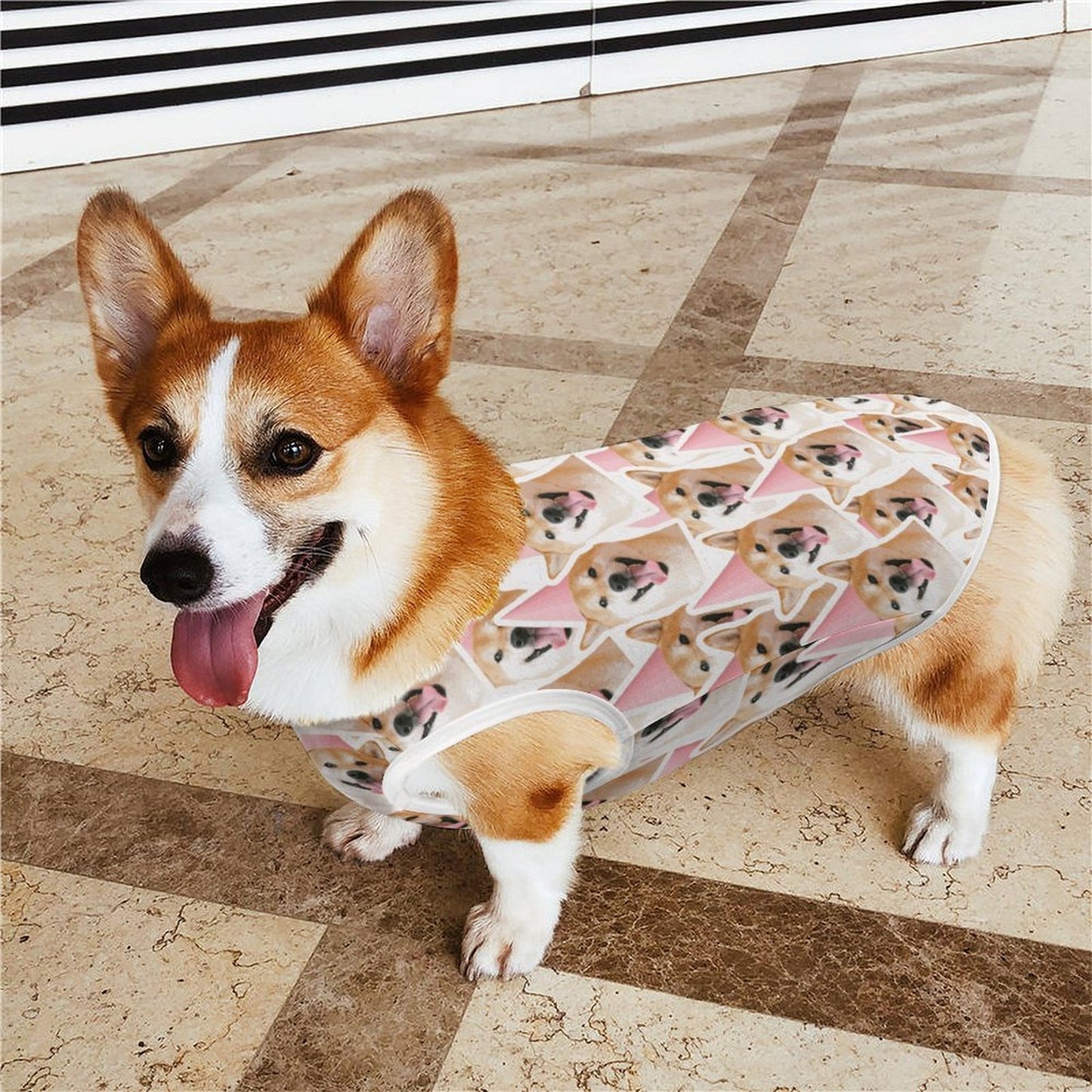 Camiseta Personalizada para Mascotas | Ropa Transpirable Perros y Gatos