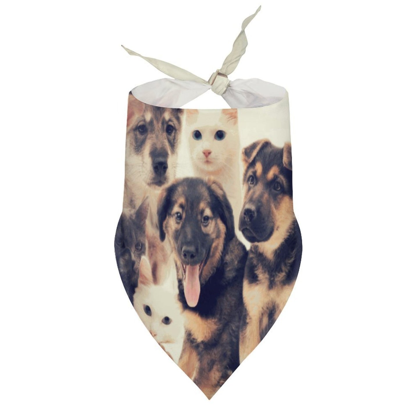 Bandana Personalizada para Mascotas | Pañoleta Triangular Ligera