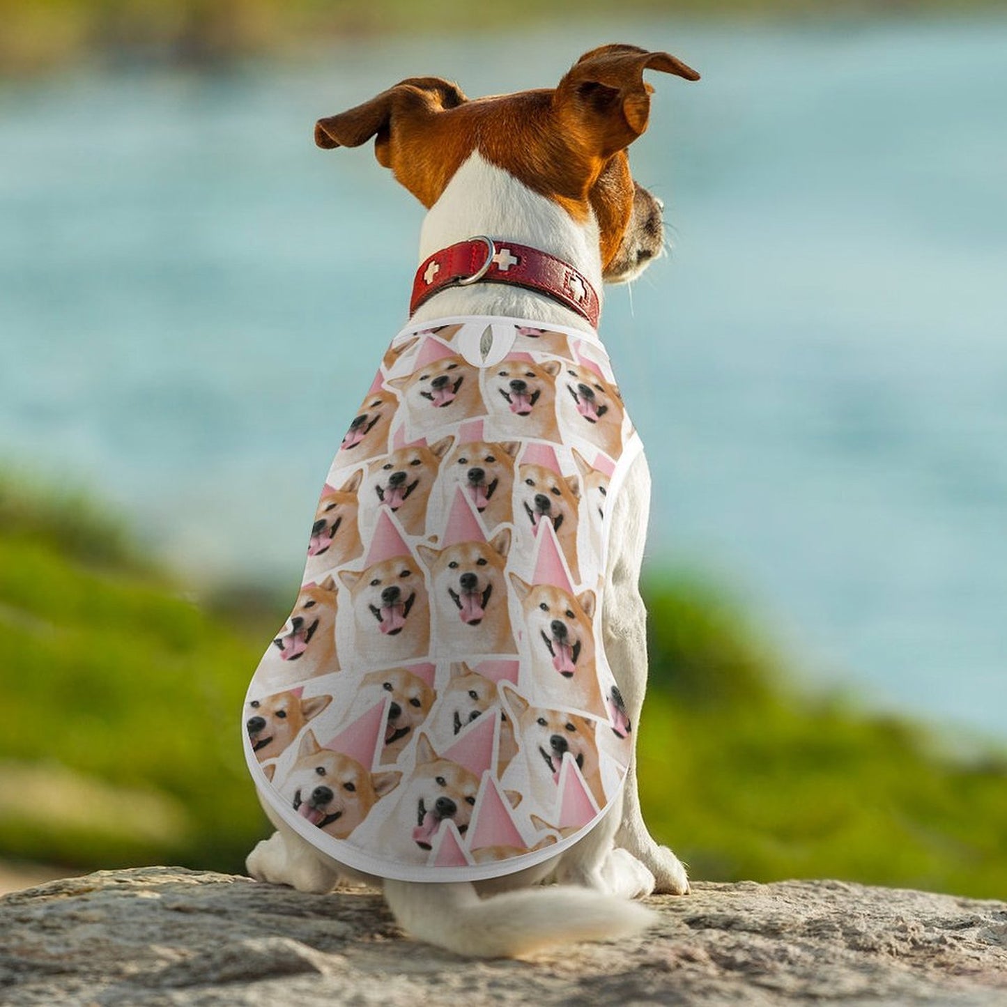Camiseta Personalizada para Mascotas | Ropa Transpirable Perros y Gatos