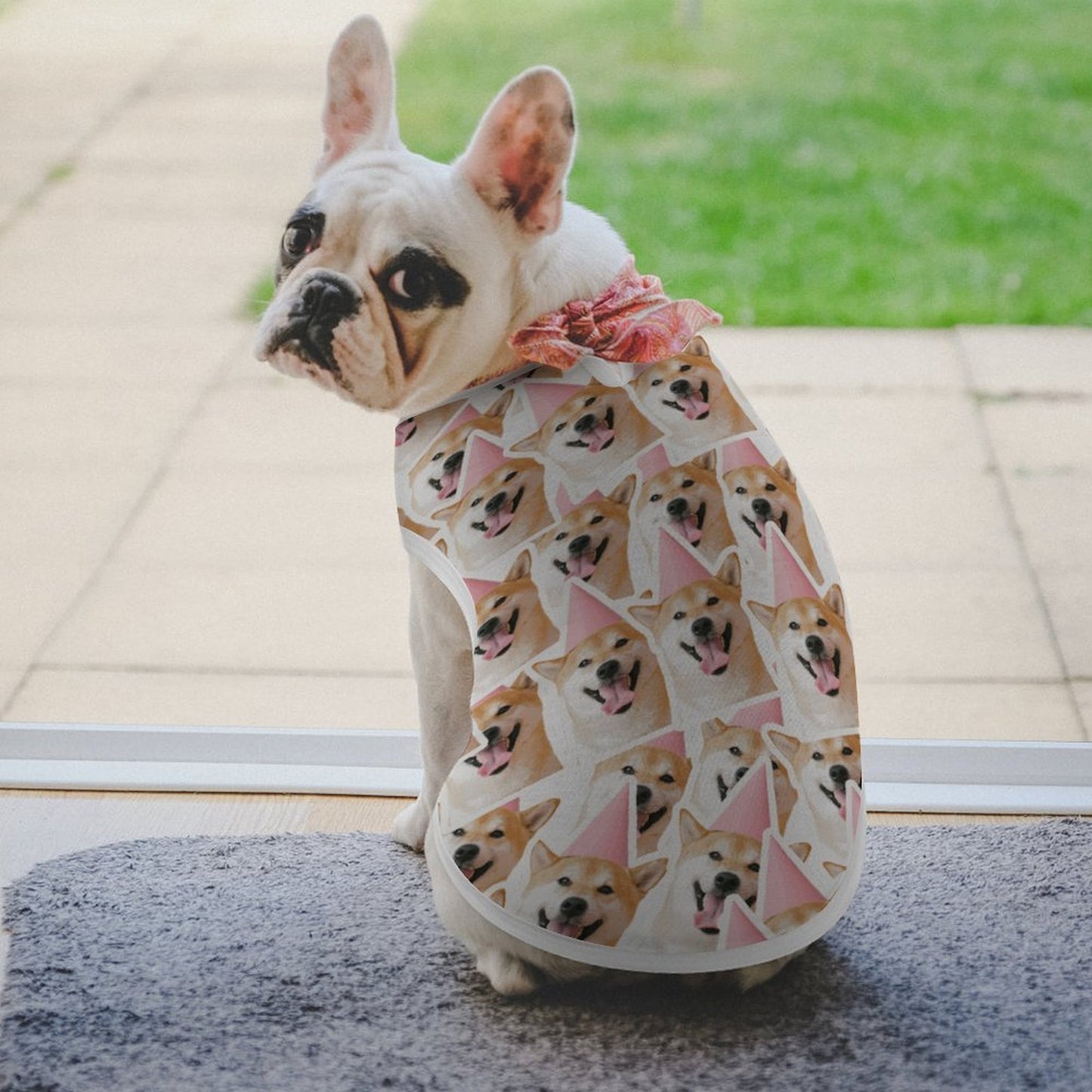 Camiseta Personalizada para Mascotas | Ropa Transpirable Perros y Gatos