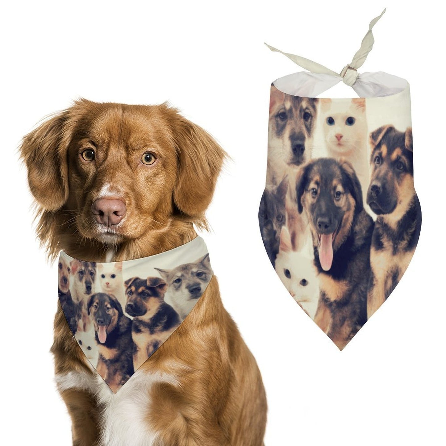 Bandana Personalizada para Mascotas | Pañoleta Triangular Ligera