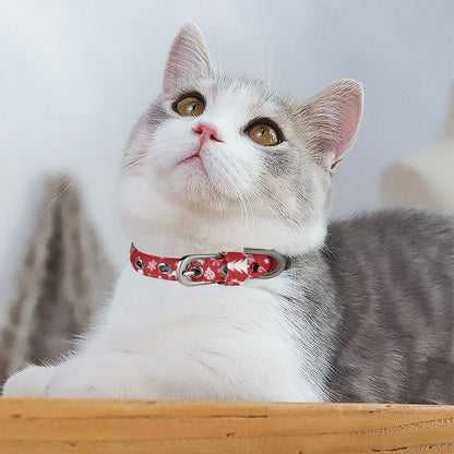 Collar para Perro Personalizado | Seguridad y Estilo en Cada Paseo