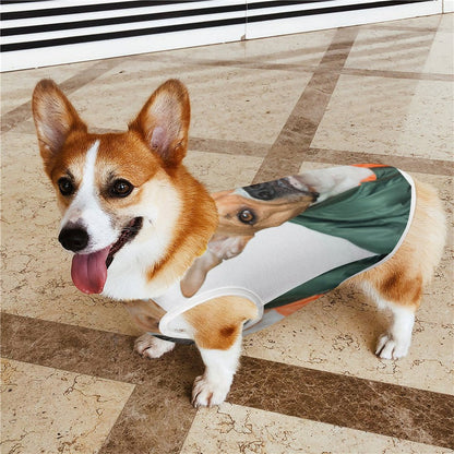 opa para Perro Personalizada | Viste su Personalidad Única