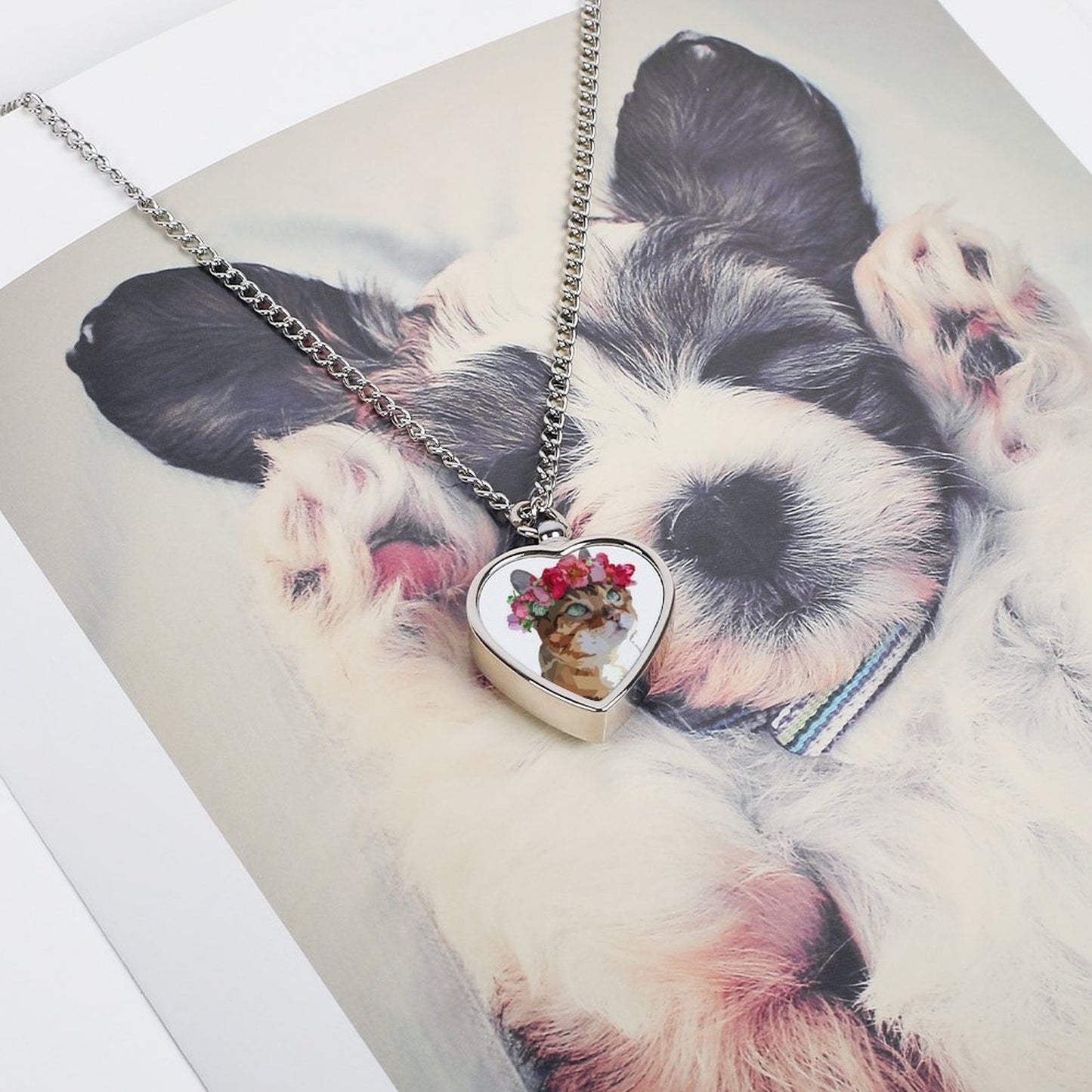 Collar Conmemorativo para Mascotas | Dije Personalizado con Foto y Urna